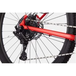 Cannondale Trail 5 Mountain Bike -Topeakea Sport 91775708 xxl a4