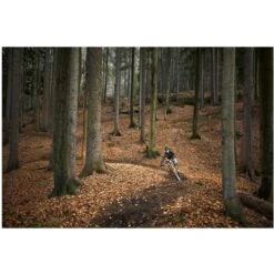 Garmin Edge 1030 Plus -Topeakea Sport 91785903 xxl a6