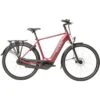 Raleigh Motus Tour Hub Gear CrossBar 500wh Electric Hybrid Bike -Topeakea Sport 93084208 xxl