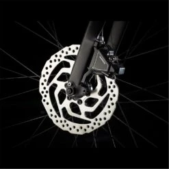 Trek FX 2 Disc Hybrid Bike -Topeakea Sport 93328725 xxl a5