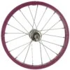 Shimano Disc 28 Wheel