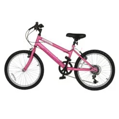 Synergy 20 Inch Girl's Bike -Topeakea Sport 93843232 xxl a4
