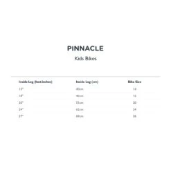 Aspen 24 Inch Kids Bike -Topeakea Sport 93918313 xxl a2